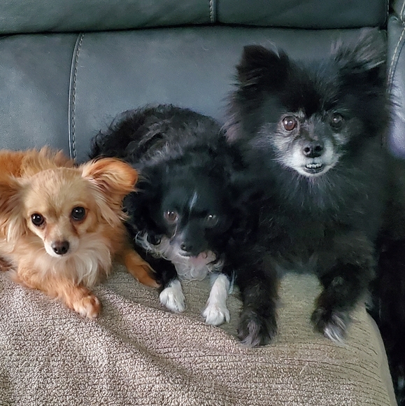 Stretch bracelet - VINTAGE metal - Picture 9 of 10